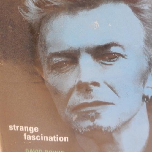 Zdjęcie oferty:  Strange Fascination: The Definitive Biography 
