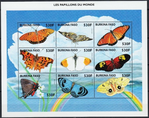 Zdjęcie oferty: Fauna motyle** Burkina