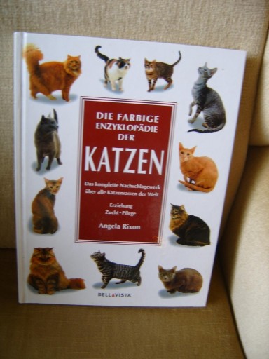 Zdjęcie oferty: ALBUM O KOTACH - KOT !