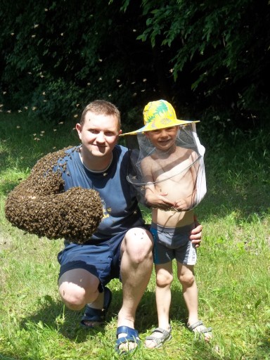 Zdjęcie oferty: PSZCZOŁY -rodziny pszczele na ramce wielkopolskiej
