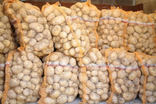 Zdjęcie oferty: Ziemniaki Irys i Vineta 0,90 zł/kg kopane kopaczką