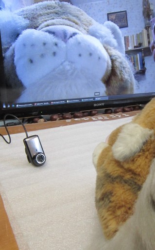 Zdjęcie oferty: Kamera Internetowa LOGITECH B905 2MP HD 720p Autofocus  6