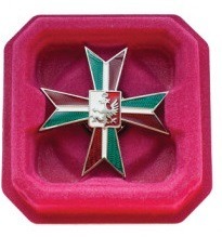 Zdjęcie oferty: Odznaka 4 Pułku Strzelców Konnych