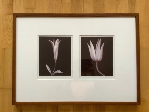 Zdjęcie oferty: Ikea obraz drewniana rama tulipany kwiaty szkło 3D