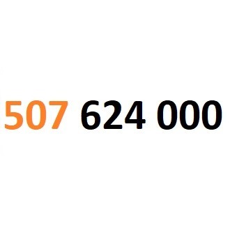 Zdjęcie oferty: 507 624 000 starter orange złoty numer #L 