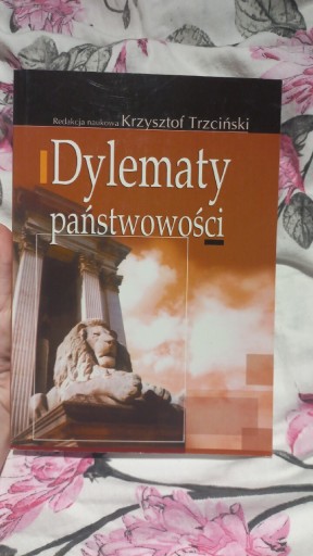 Zdjęcie oferty: Dylematy państwowości 