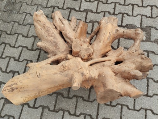 Zdjęcie oferty: Korzeń drzewa Piękny Suchy Podstawa do stolika DIY