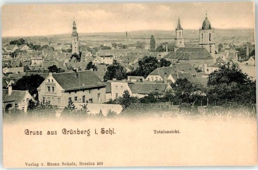 Zdjęcie oferty: ZIELONA GÓRA Grunberg panorama ok 1900