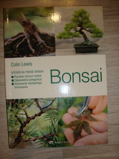 Zdjęcie oferty: Bonsai Colin Lewis