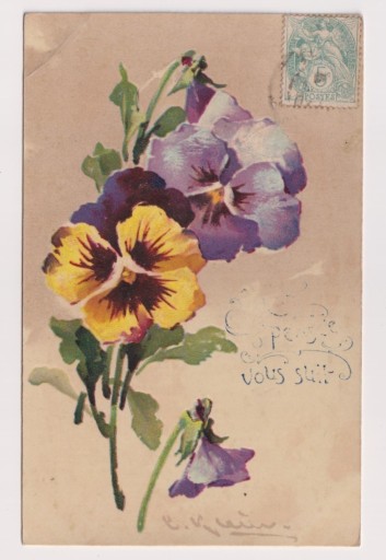 Zdjęcie oferty: C. Klein kwiaty Bratki ok.1906r. Litografia 141D