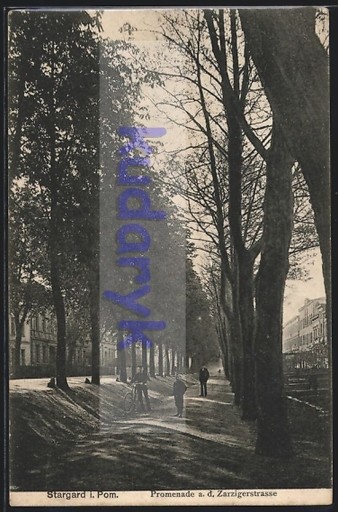 Zdjęcie oferty: STARGARD Promenade a. d. Zarzigerstrasse 1908