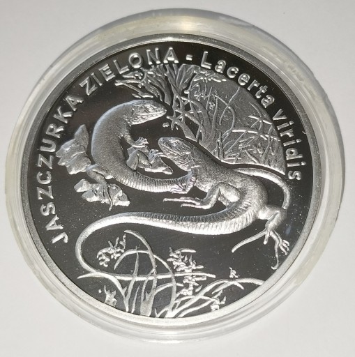 Zdjęcie oferty: Polska 20 złotych, 2009 r srebro