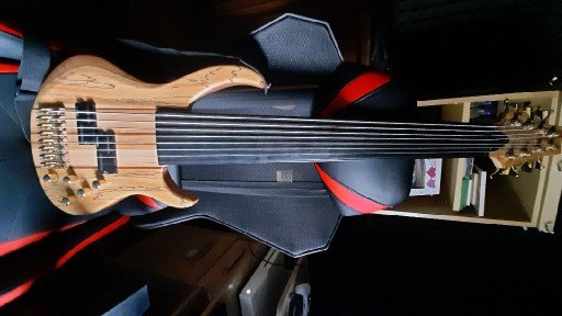 Zdjęcie oferty: Gitara basowa fretless Raven 8 -strunowa