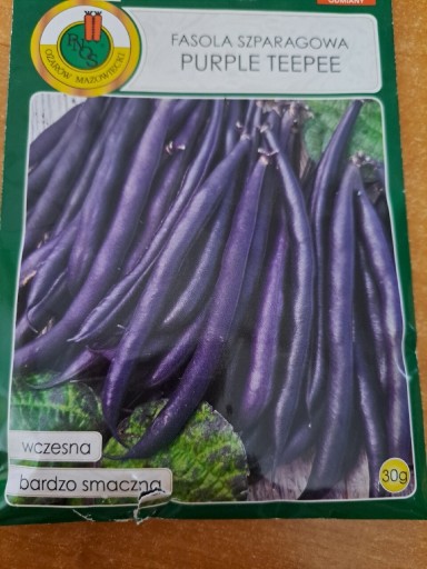 Zdjęcie oferty: Fasola szparagowa 'Purple Teepee'