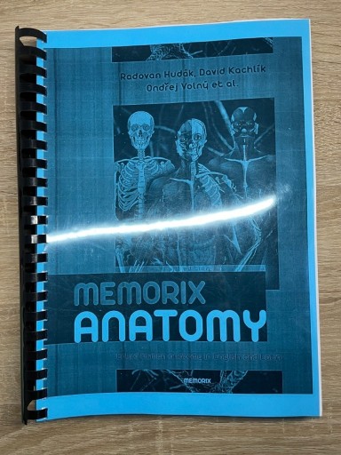 Zdjęcie oferty: Memorix Anatomy ENG