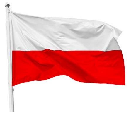 Zdjęcie oferty: MASZT 115x70 cm Flaga Polski  PRODUCENT FV 