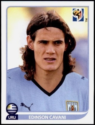 Zdjęcie oferty: 83 Edinson Cavani 2010 Panini World Cup