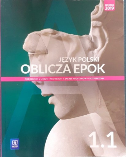 Zdjęcie oferty: Język Polski - oblicza epok - WSiP