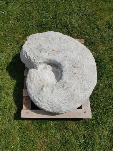 Zdjęcie oferty: Amonit, około 80 kg