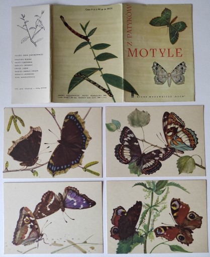 Zdjęcie oferty: Motyle 4 pocztówki PRL