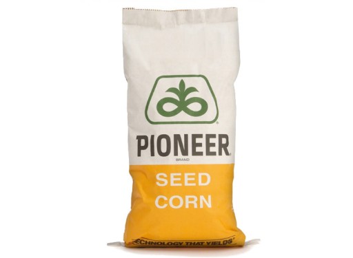 Zdjęcie oferty: Materiał siewny kukurydza Pioneer p8329