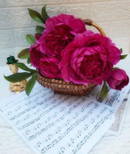 Zdjęcie oferty: Kwiaty z foamiranu