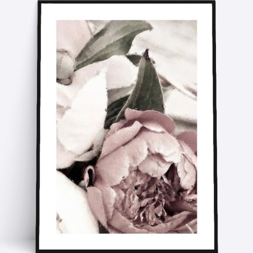 Zdjęcie oferty: A3 Plakat piwonie peonie różowe kwiaty do salonu