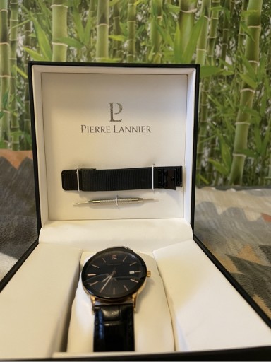 Zdjęcie oferty: zegarek pierre lannier