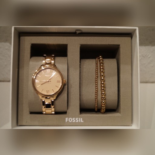 Zdjęcie oferty: FOSSIL BQ3543 ZEGAREK , BRANSOLETKA, NOWY