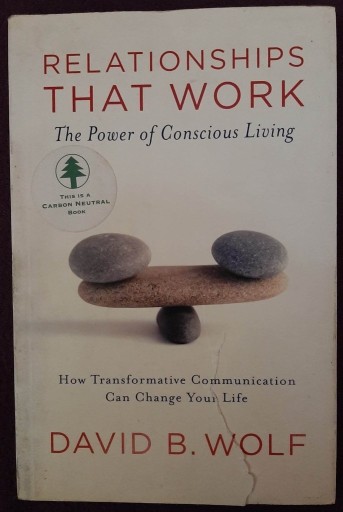 Zdjęcie oferty: Relationships That Work David b. Wolf The Power of