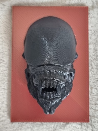 Zdjęcie oferty: 3D magnes głowa Alien