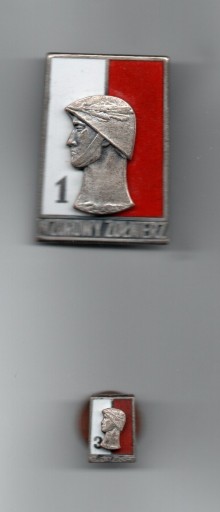 Zdjęcie oferty: odznaki Wzorowego żołnierza