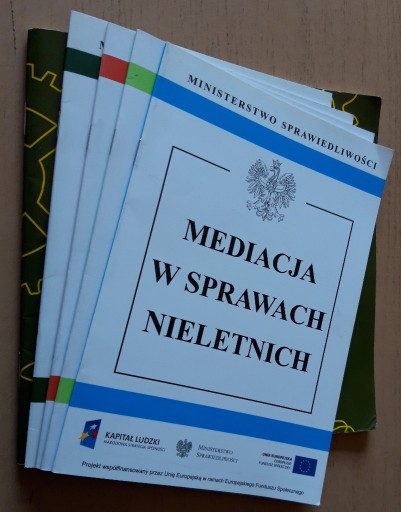 Zdjęcie oferty: Mediacja w polskim prawie 