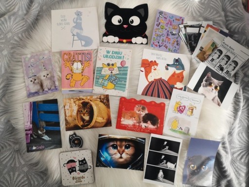 Zdjęcie oferty: Pocztówki z kotami kartka okolicznościowa kot 