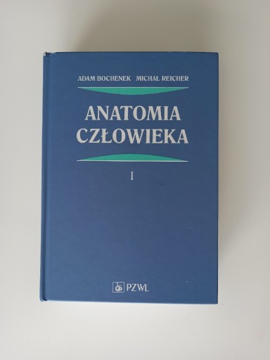 Zdjęcie oferty: Podręcznik Anatomia Człowieka Bochenek