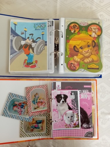 Zdjęcie oferty: Segregatory z karteczkami Disney, zwierzęta i inne