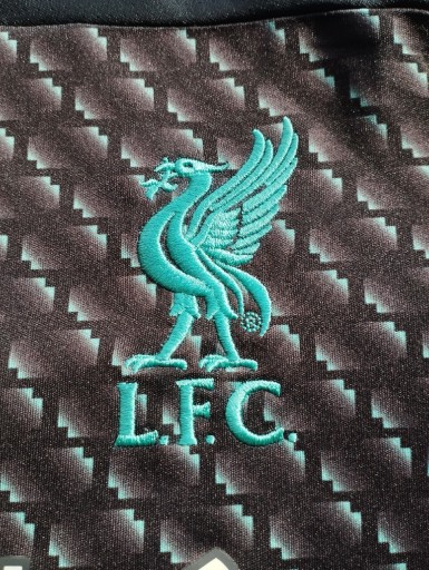 Zdjęcie oferty: Koszulka Liverpool 146 cm