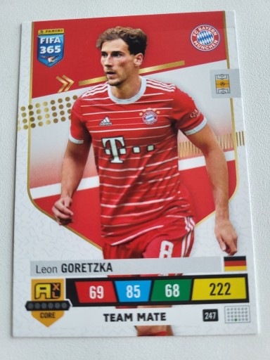 Zdjęcie oferty: FIFA 365 2023 TEAM MATE 247 GORETZKA