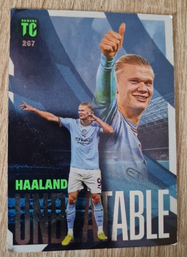 Zdjęcie oferty: Top Class Halland UNBEATABLE 267