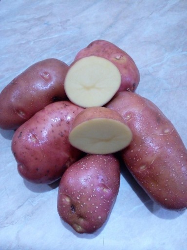 Zdjęcie oferty: Ziemniaki jadalne bellarosa czerwony 20kg
