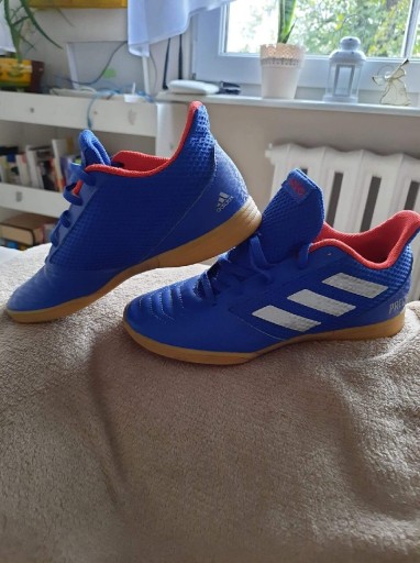 Zdjęcie oferty: Buty halówki Adidas Predator . JAK NOWE!! Roz.36.5