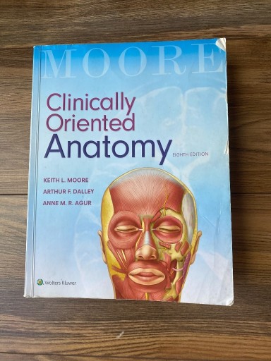 Zdjęcie oferty: Moore Clinically Oriented Anatomy 8th ed 2018