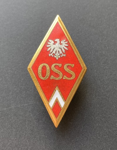 Zdjęcie oferty: Odznaka absolwenta OSS LWP