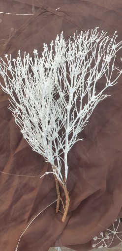 Zdjęcie oferty: Naturalne Gałązki dekoracyjne białe pęczek35-40cm 