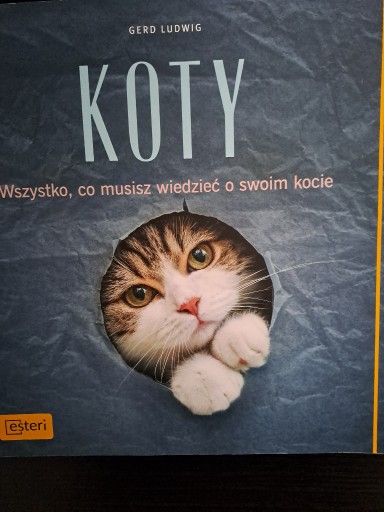 Zdjęcie oferty: Koty. Wszystko, co musisz wiedzieć o swoim kocie.