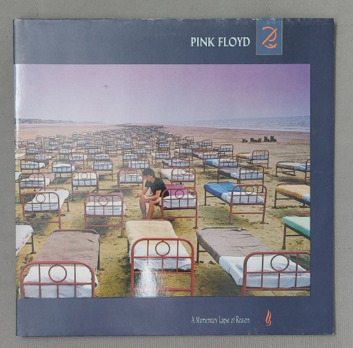 Zdjęcie oferty: Pink Floyd   A Momentary Lapse Of Reason EX 