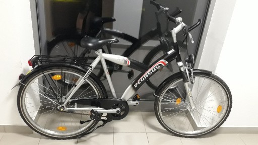Zdjęcie oferty: wyposażony rower miejski górski PEGASUS Jump S 26