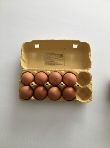 Zdjęcie oferty: Wytłaczanka na 10 jaj. W paczce 100 szt.