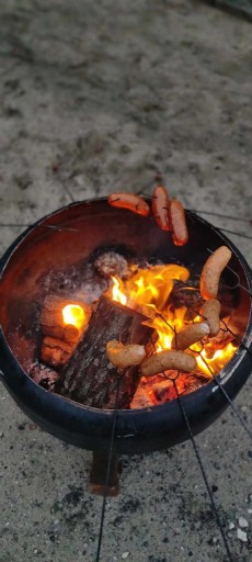 Zdjęcie oferty: Drewno olchowe do wędzenia i na ognisko