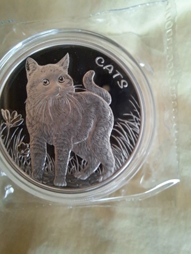 Zdjęcie oferty: Kot,Cats Fiji srebrna moneta kolekcjonerska 1oz ag